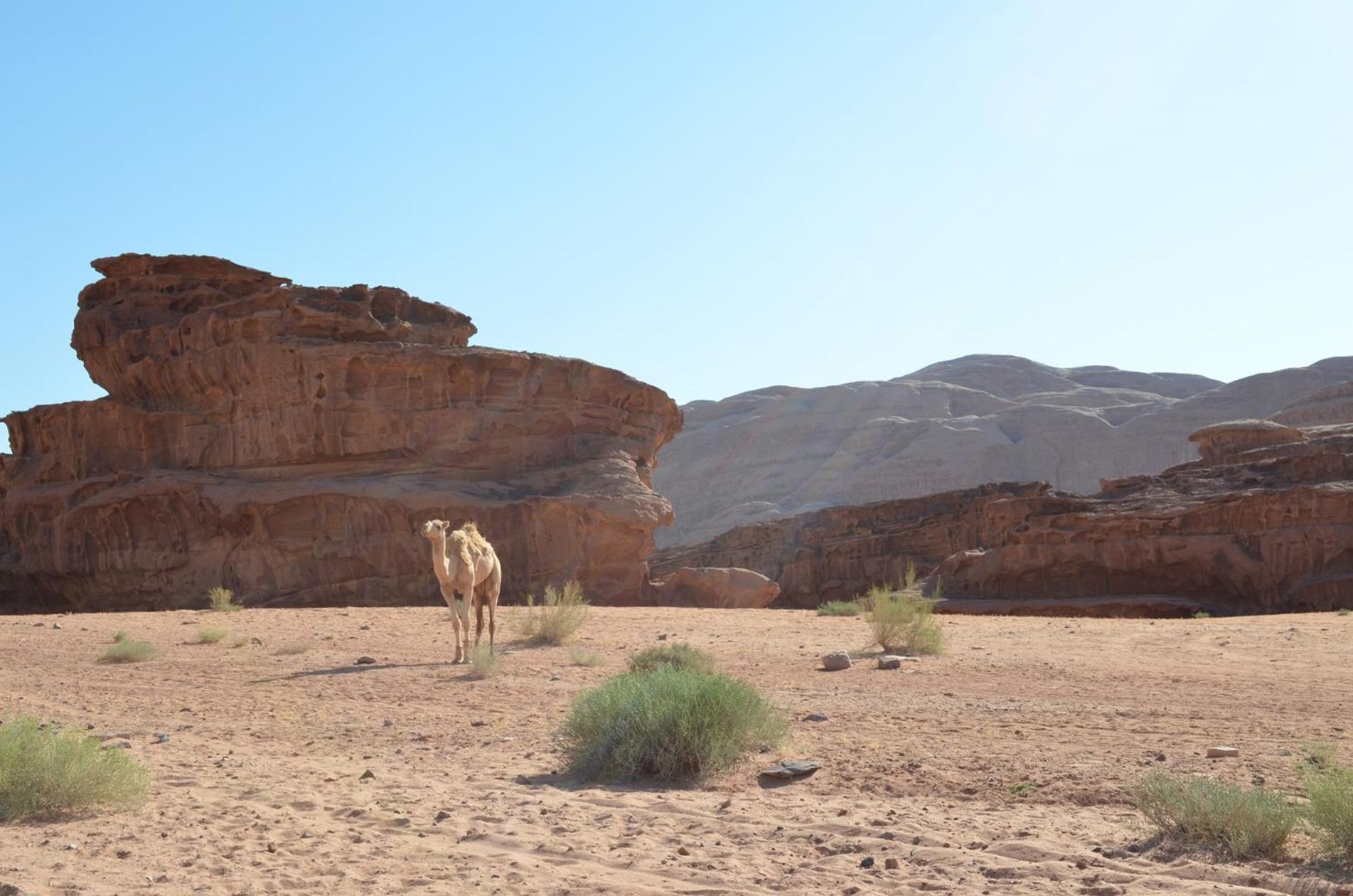 Wadi Rum Caeser Camp Hotel Luaran gambar