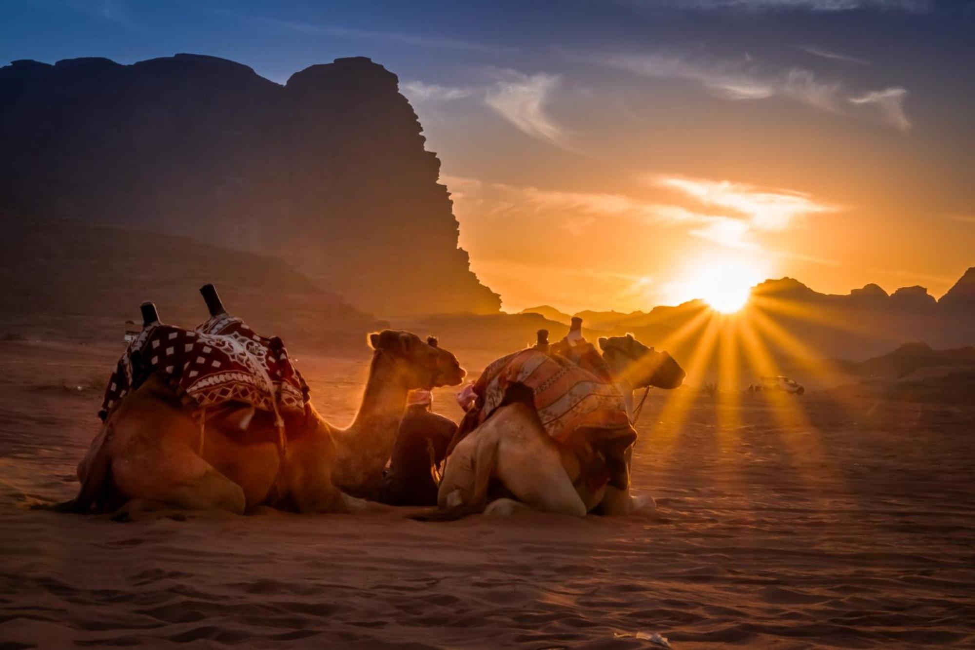 Wadi Rum Caeser Camp Hotel Luaran gambar